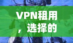 VPN租用，选择的必经之路